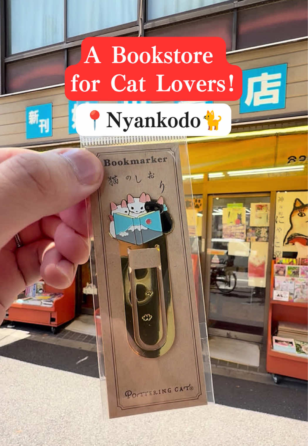 Tokyo Cat Lover's Bookstore With Cat Souvenirs