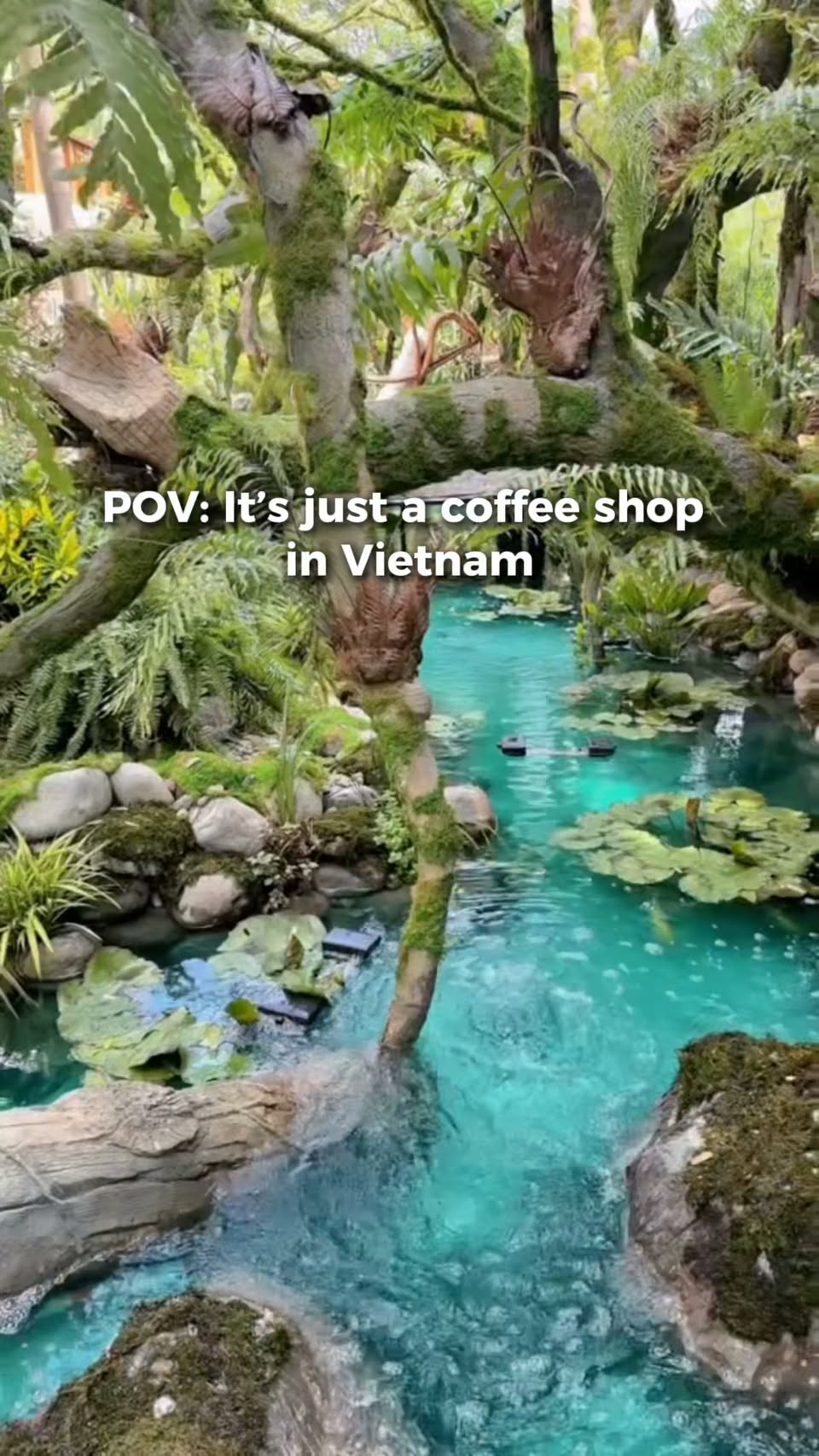 Ho Chi Minh City's Enchanting Nature Cafe Oasis