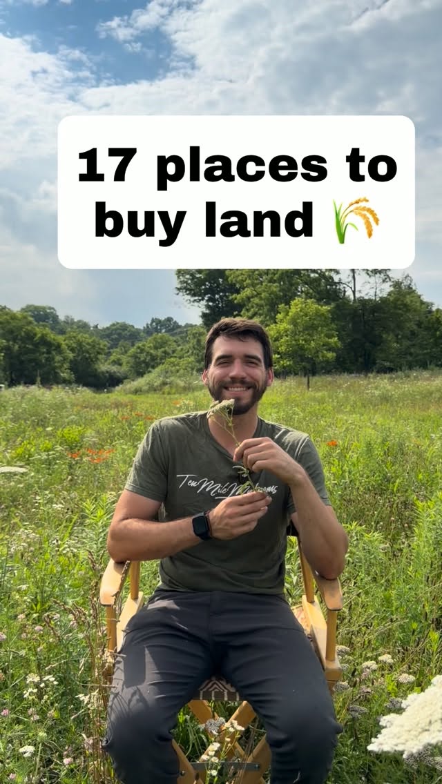 Online Platforms for Buying Property
