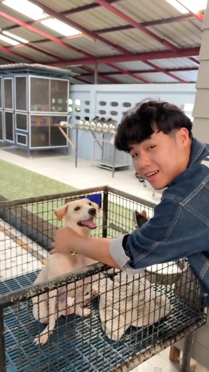 Shelter for Animals and Pet Supply Store