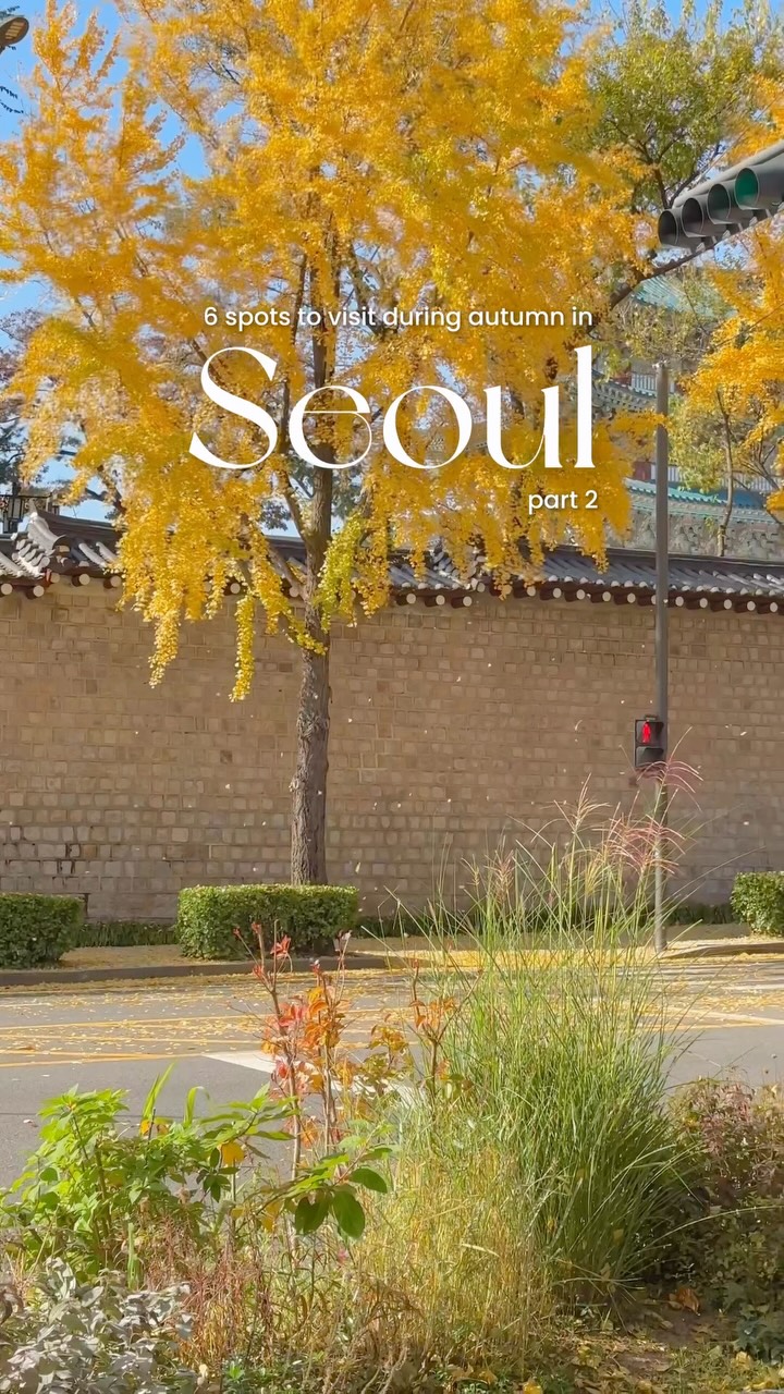 Favorite Autumn Spots in Seoul