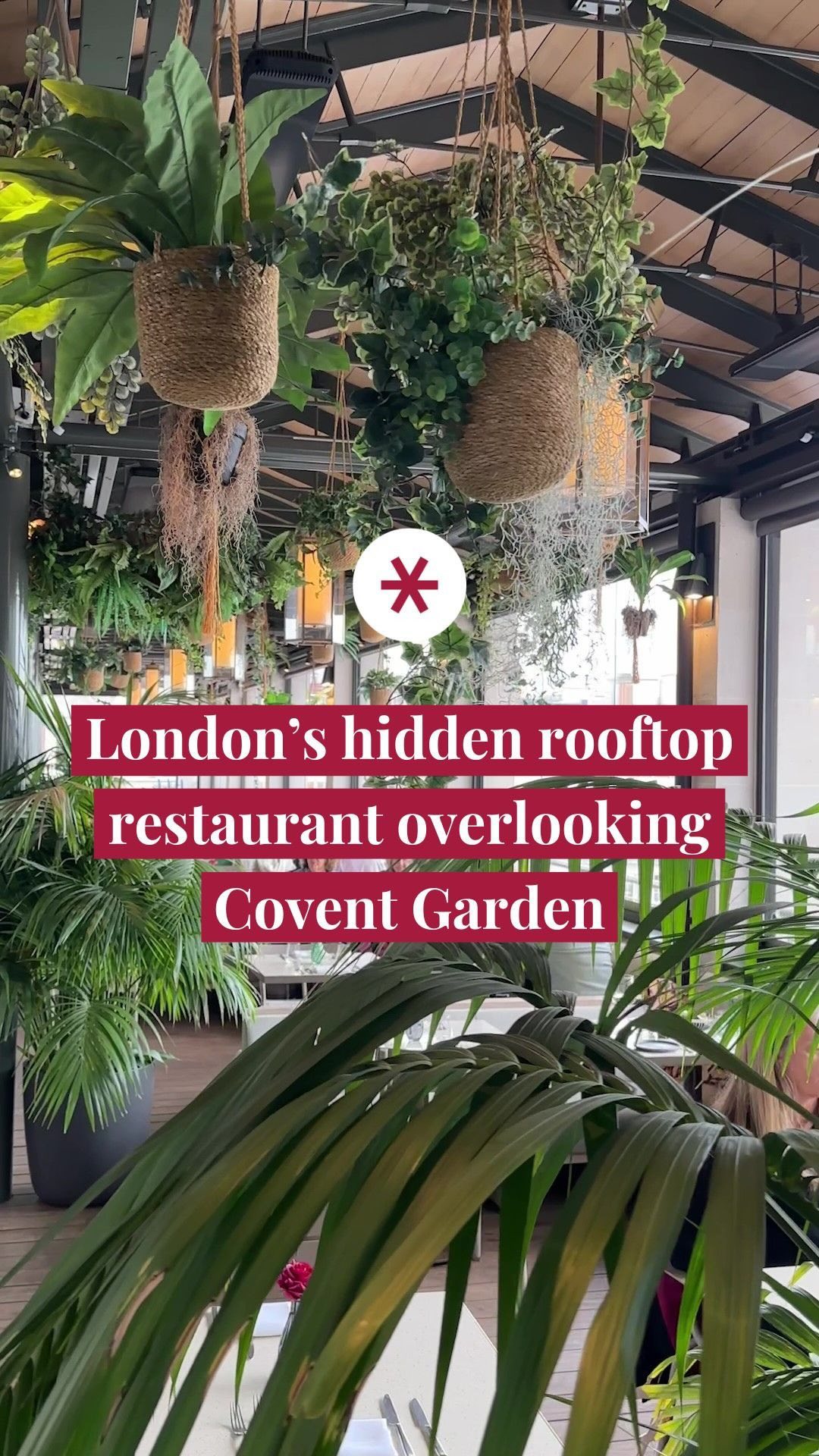 Piazza Rooftop Offers Stunning Views