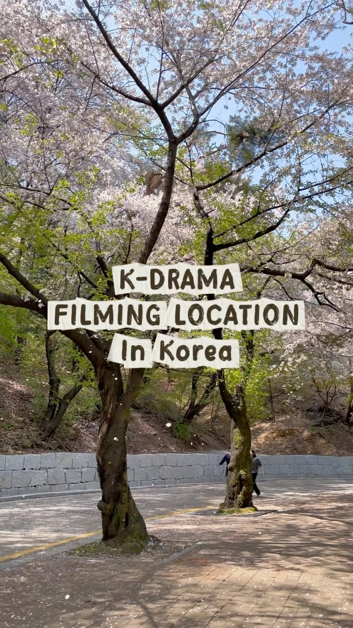 Seoul's Diverse Landmarks and Cultural Spaces
