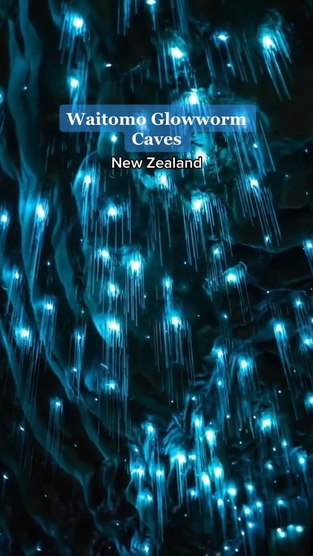 New Zealand's Waitomo Glowworm Caves