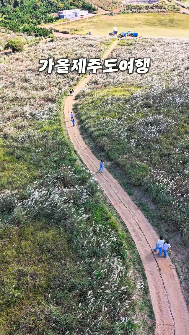 Jeju Island's Top Autumn Natural Wonders