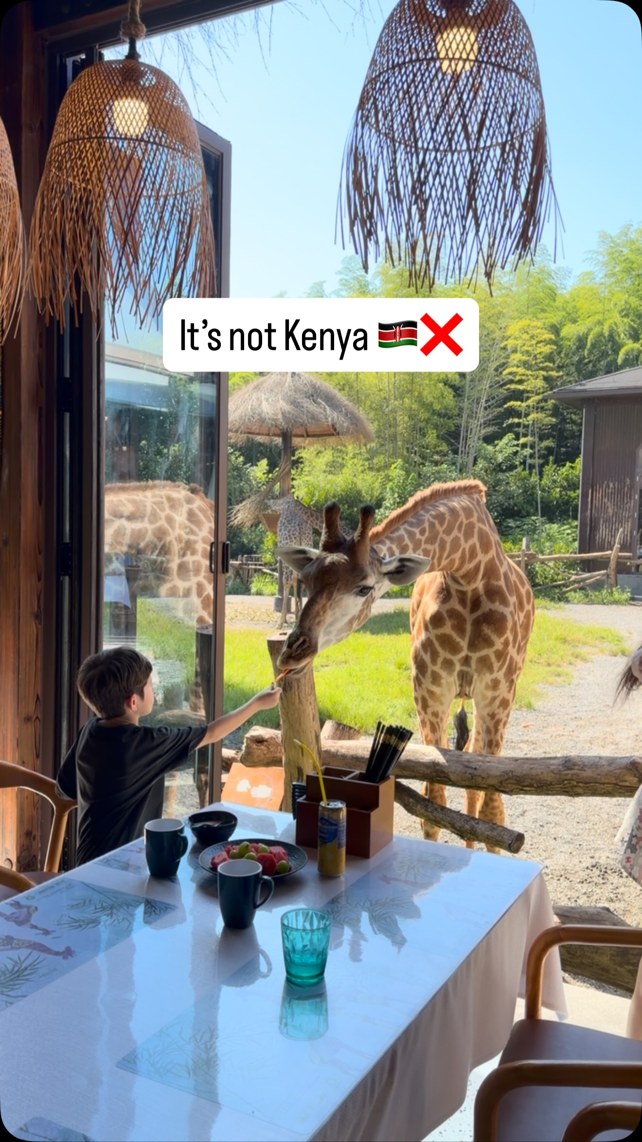 Safari Park Offers Unique Hotel Stays