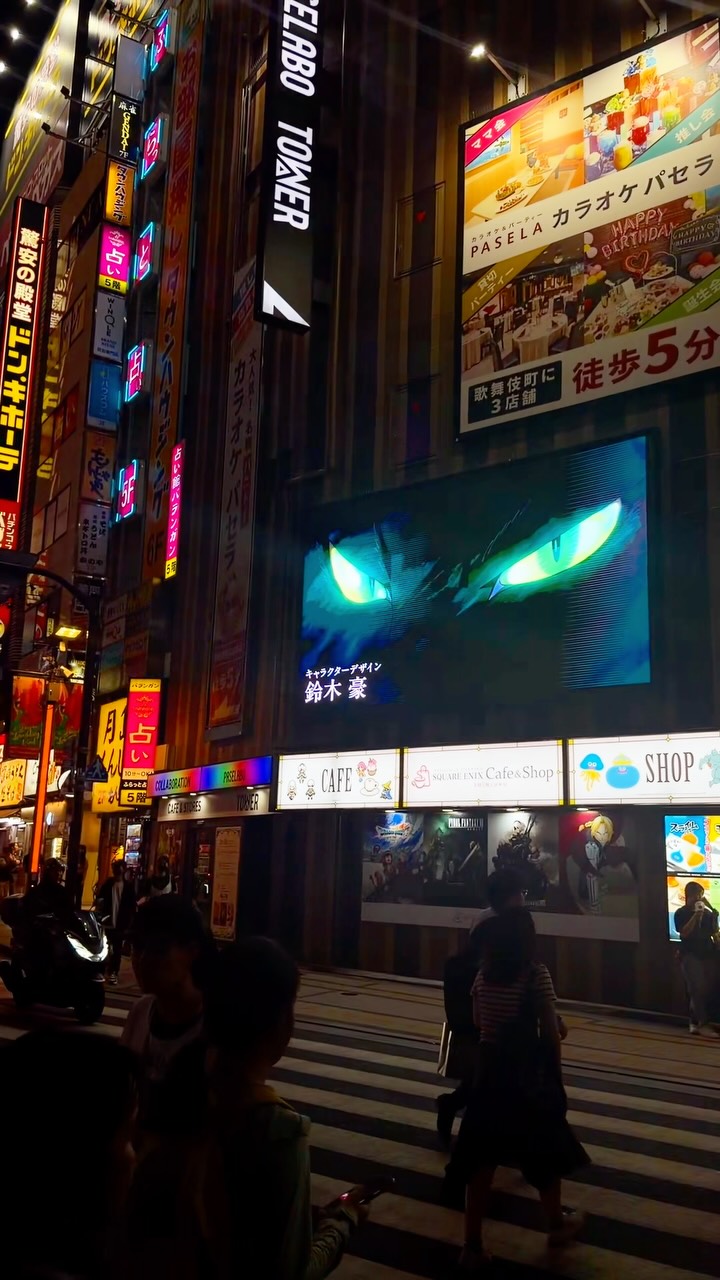 Shinjuku Entertainment Cafes and Karaoke