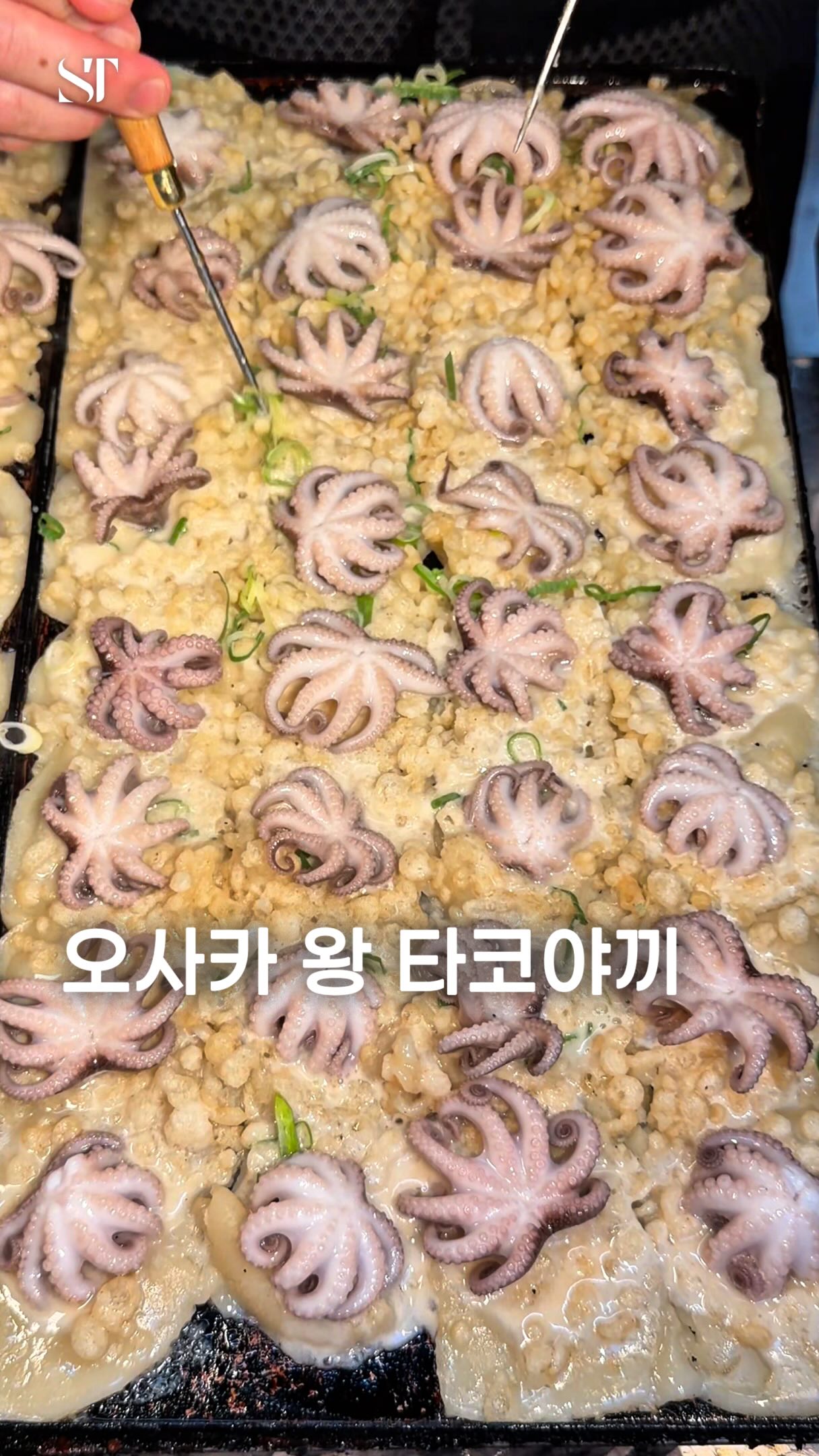 Osaka's Takoyaki Spot Featuring Whole Baby Octopus