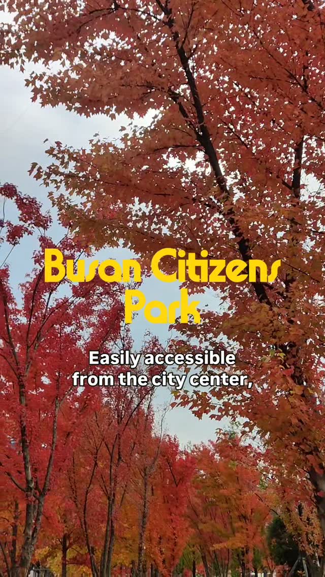 Eight Busan Spots for Colorful Fall Scenery