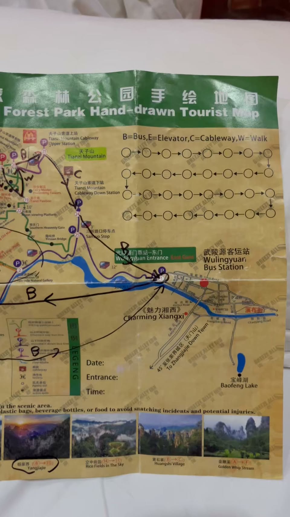 Zhangjiajie Park's Scenic Routes and Logistics