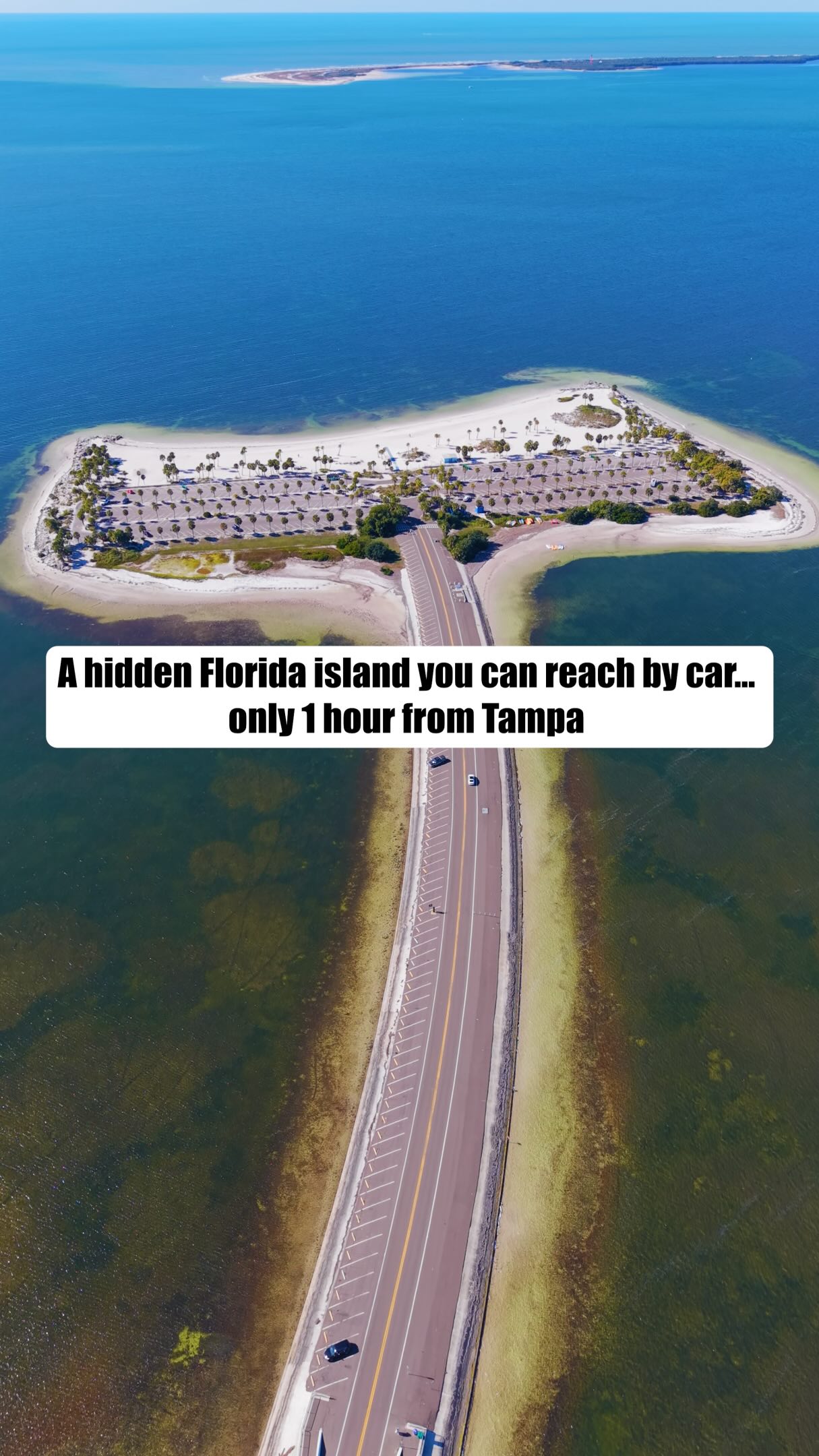 Fred Howard Park: Gulf Beaches and Wildlife Haven