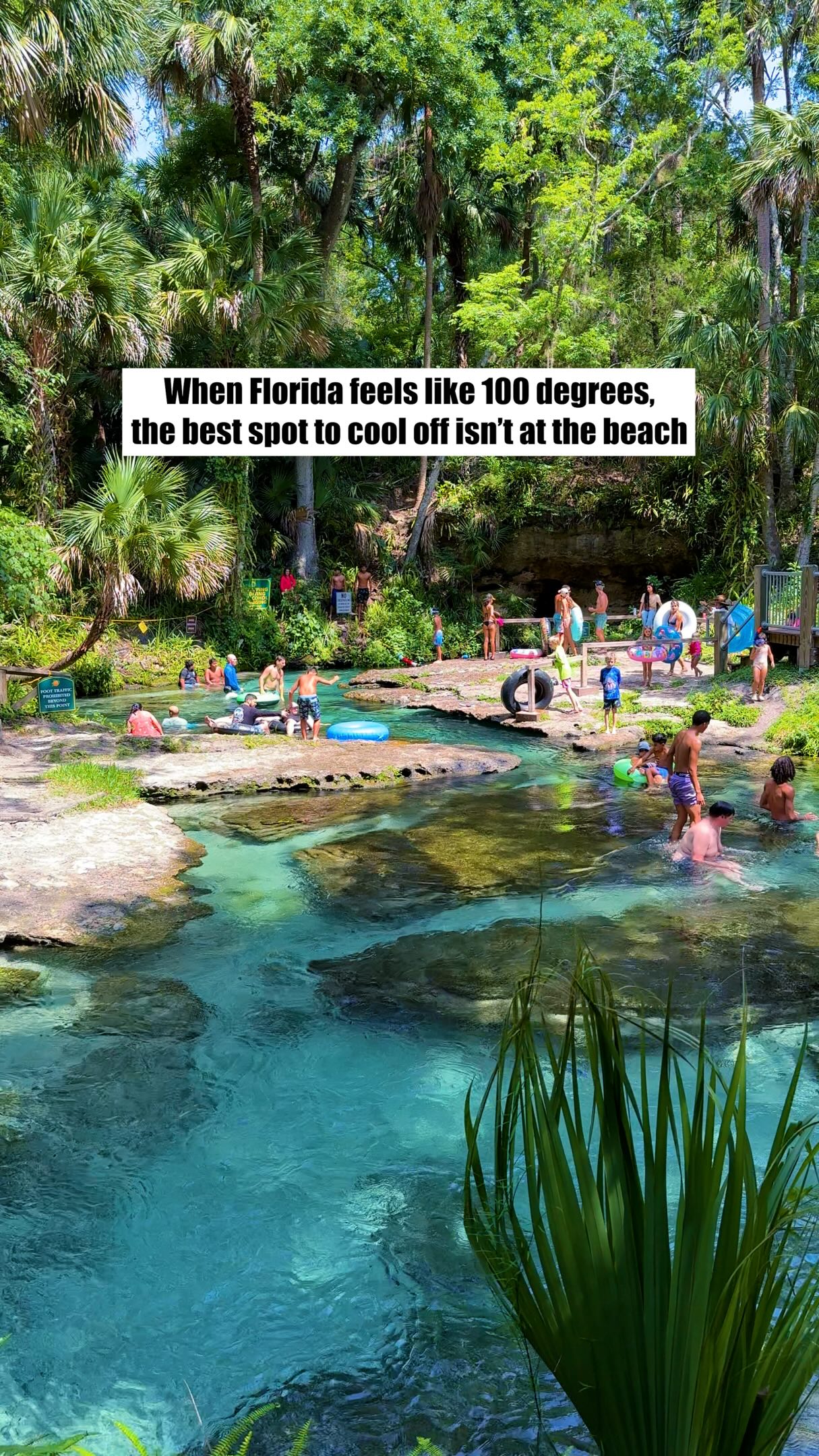 Kelly Park: Cool Florida Springs For Families