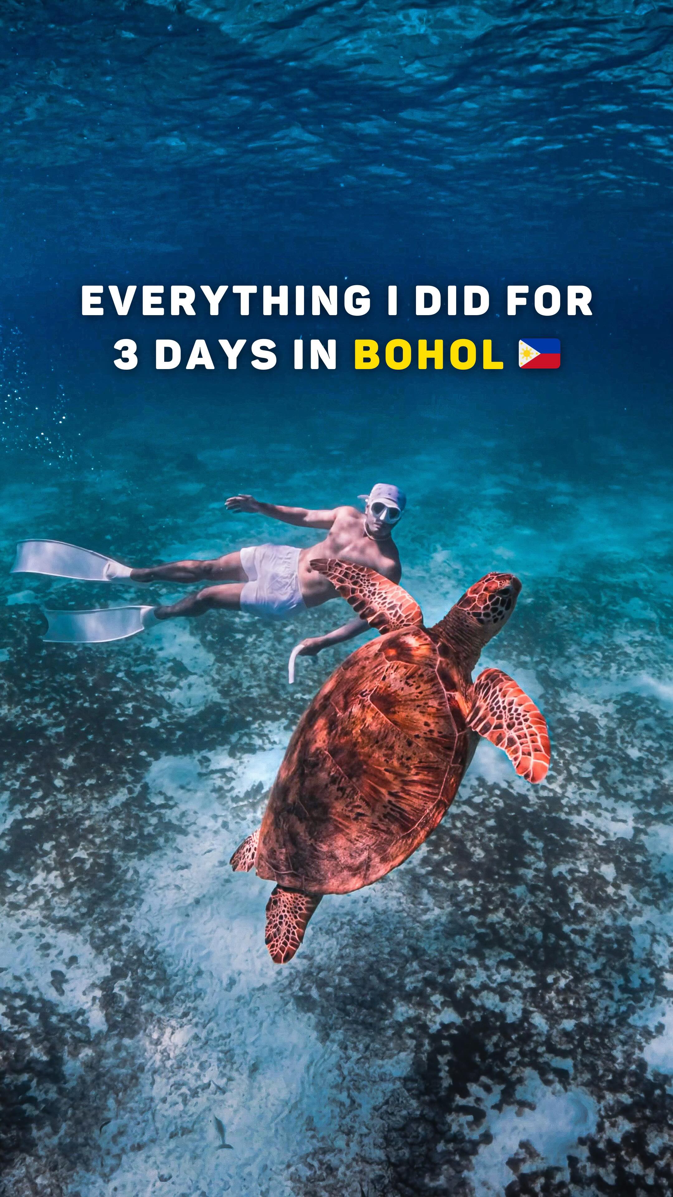 Bohol Travel: Caves, Beaches, and Island Adventures