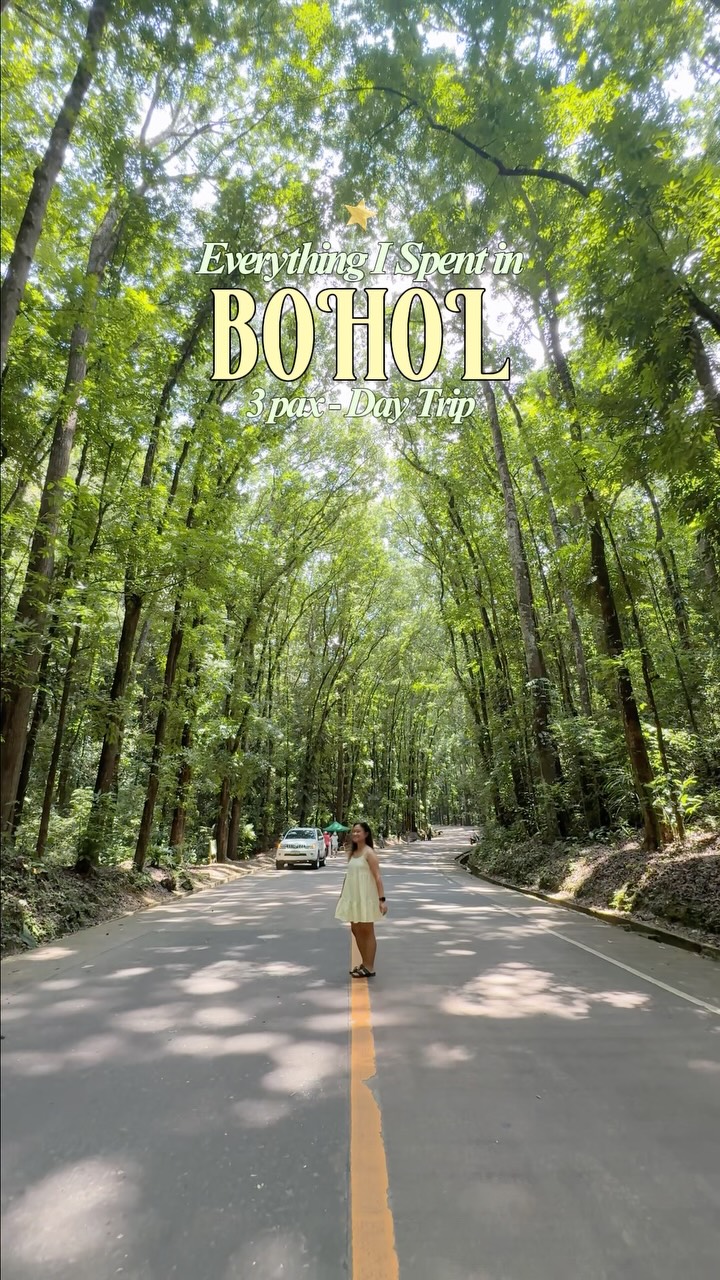 Bohol's Natural and Cultural Wonders From Cebu