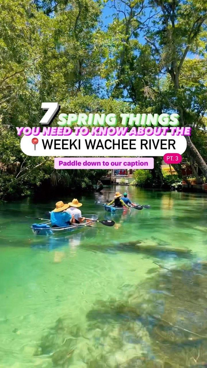 Weeki Wachee River Springs And Kayak Tours