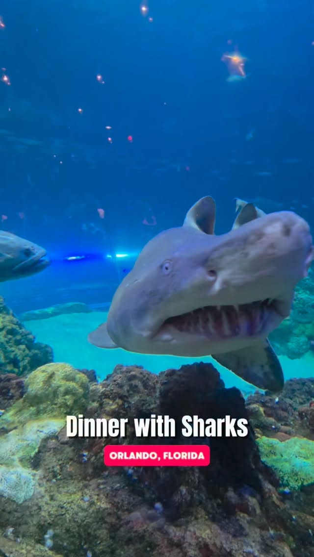 Sharks Underwater Grill: Dining at SeaWorld Orlando