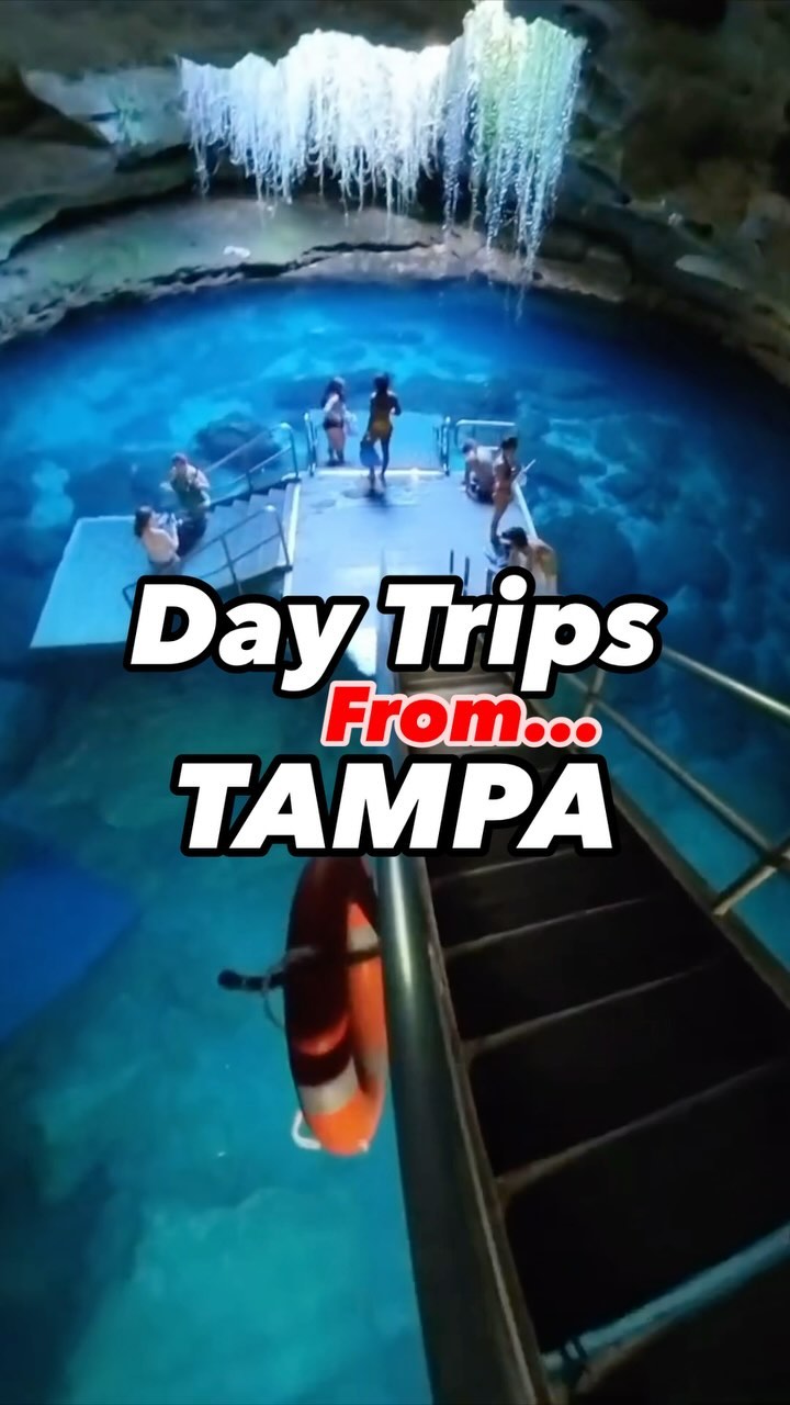 Florida's Top Nature and Theme Park Day Trips