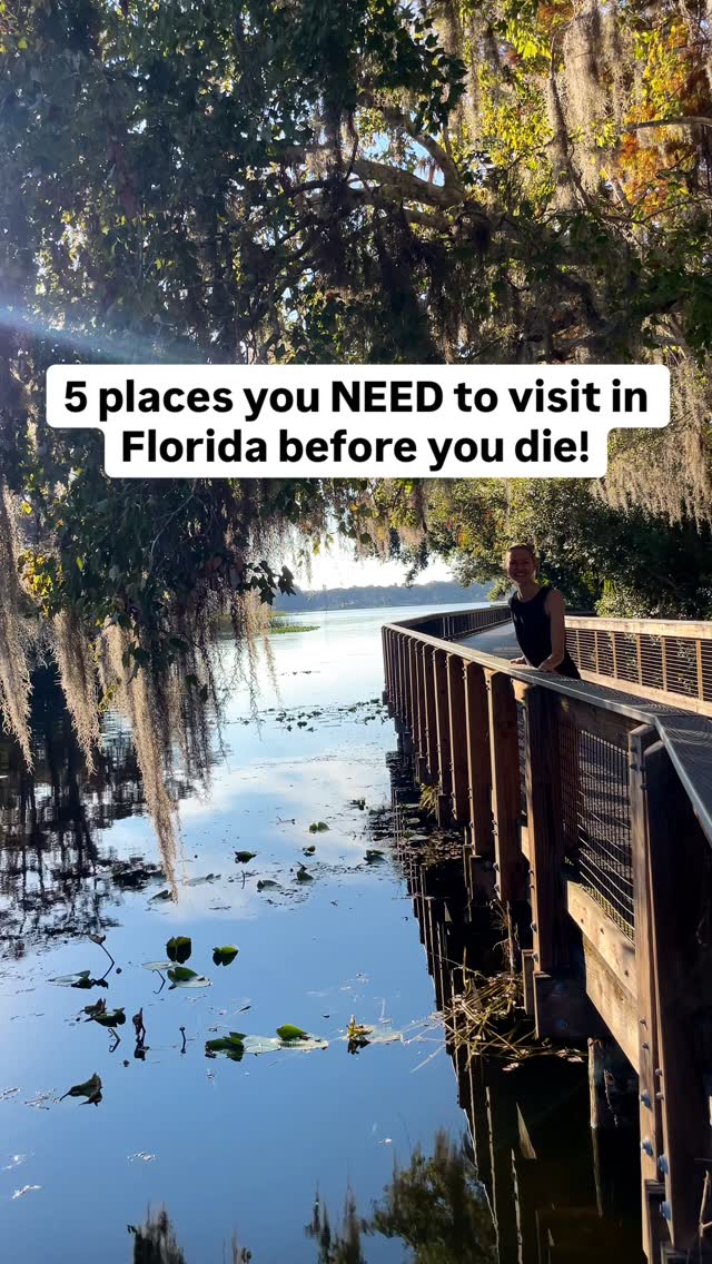 Florida's Natural Wonders And Springs To Explore