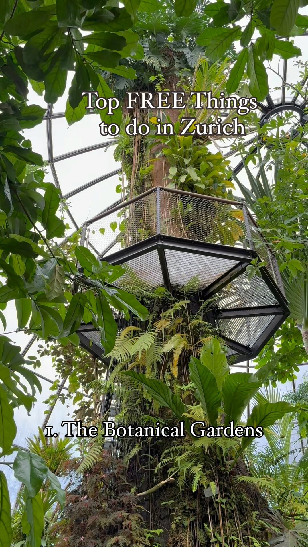 Zurich's Free Attractions: Gardens, Museums, and More