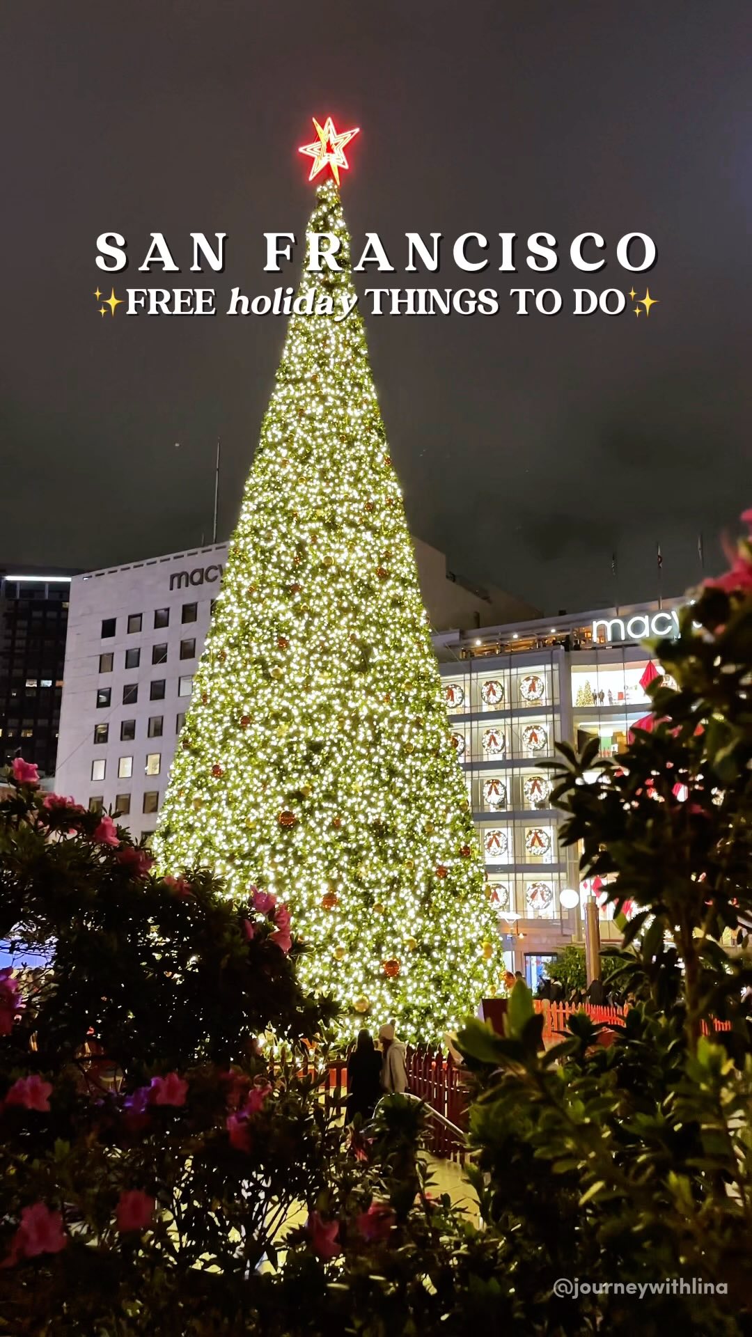 San Francisco's Free Holiday Attractions