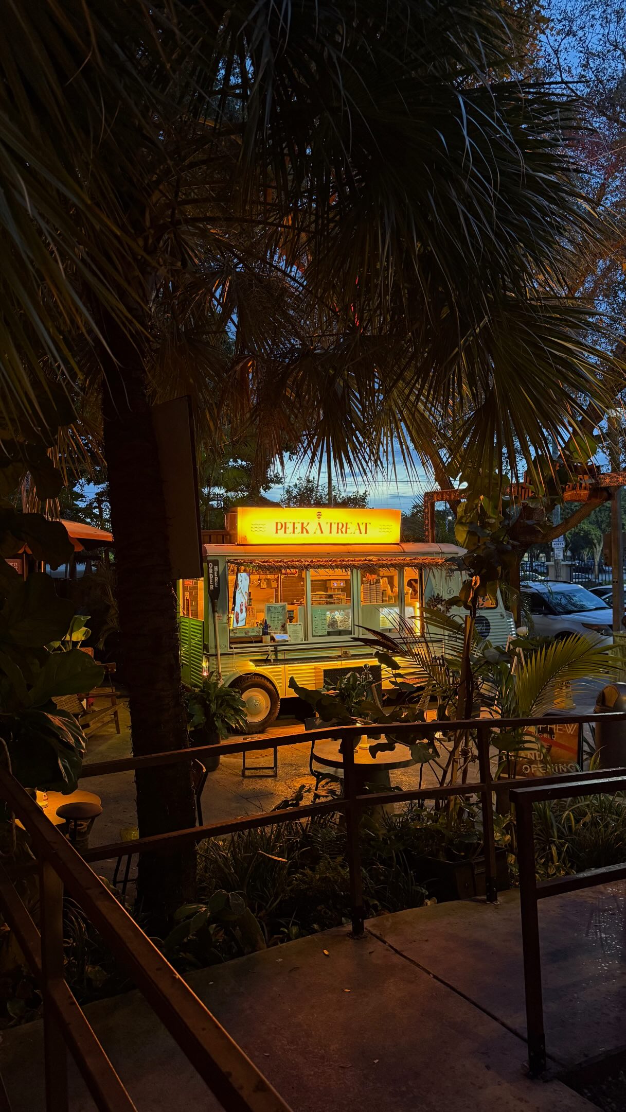 Miami's Enchanting Jungle Retreats