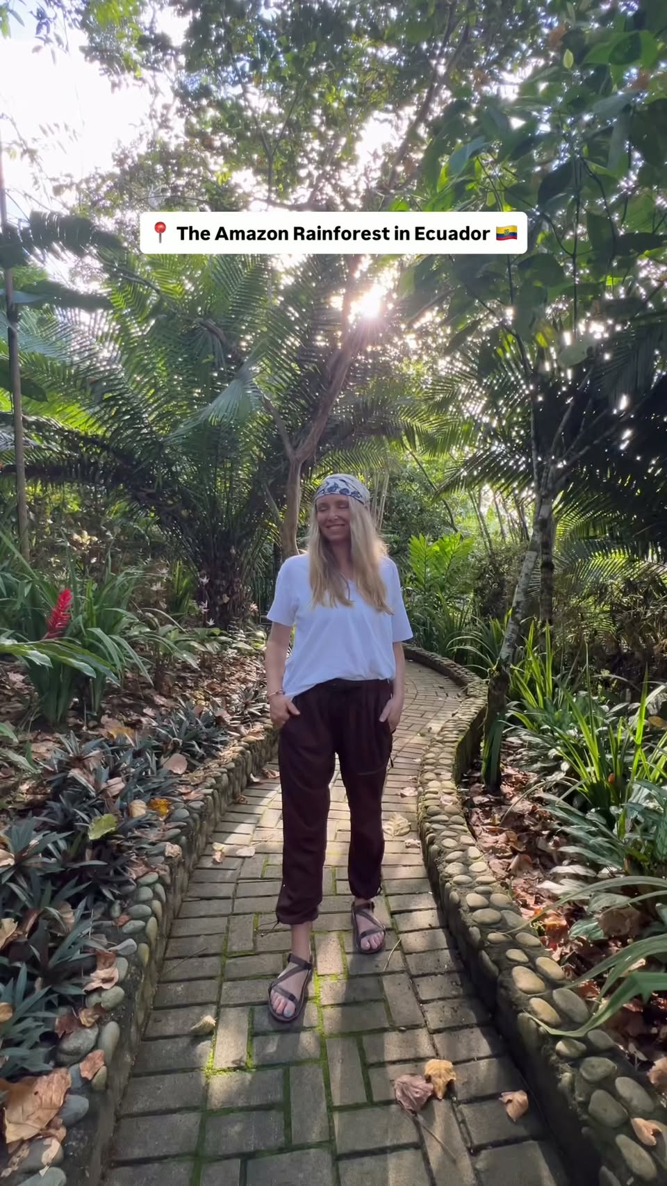 Amazon Rainforest Lodge With Monkey Tours