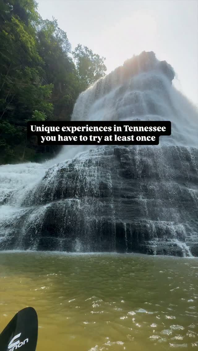 Tennessee's Natural Wonders And Treehouse Adventure