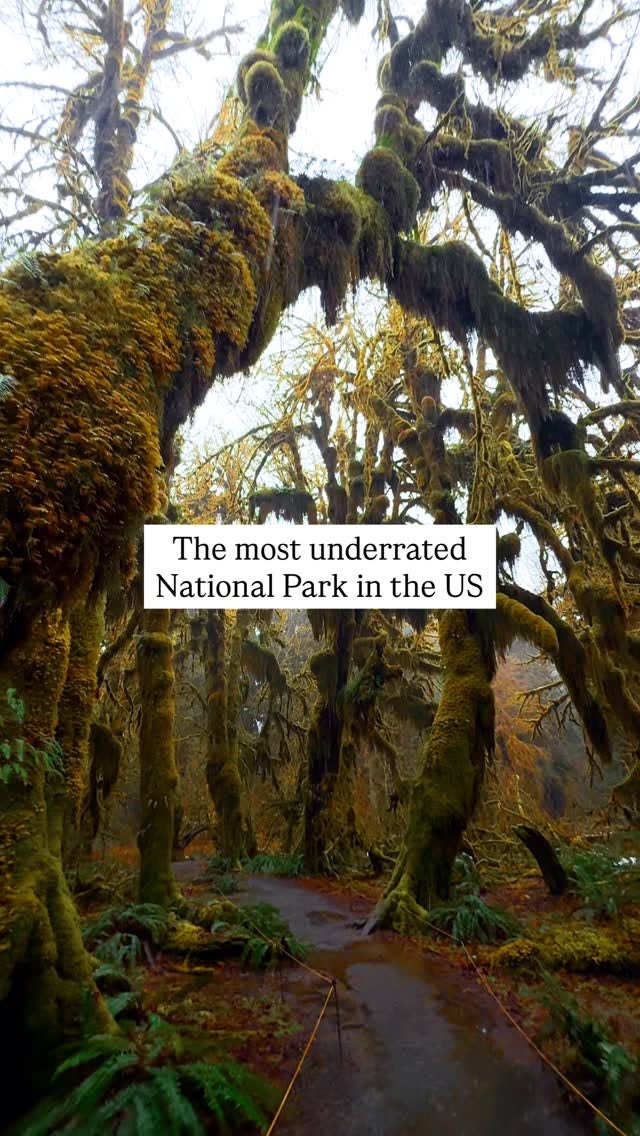 Olympic National Park's Diverse Ecosystems Itinerary