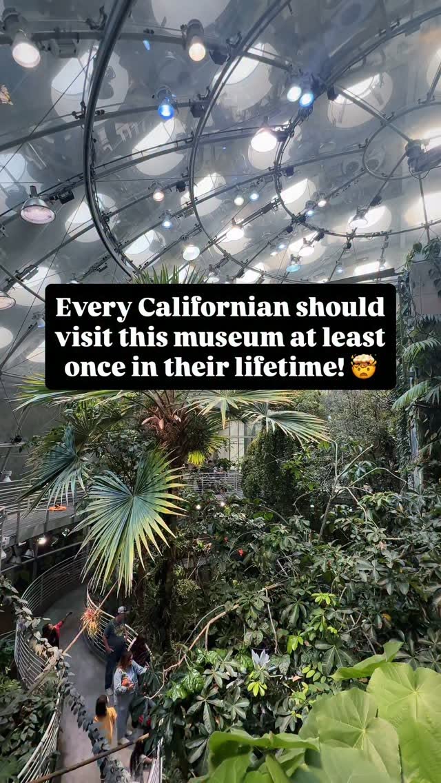 California Academy of Sciences Offers Diverse Exhibits
