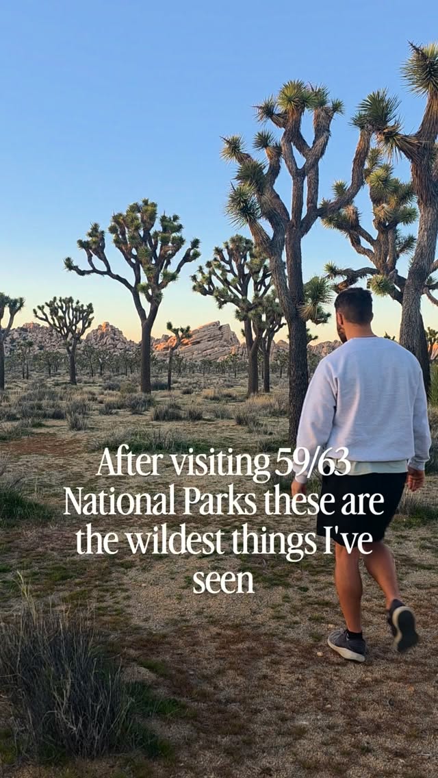 National Parks and Natural Wonders Across America
