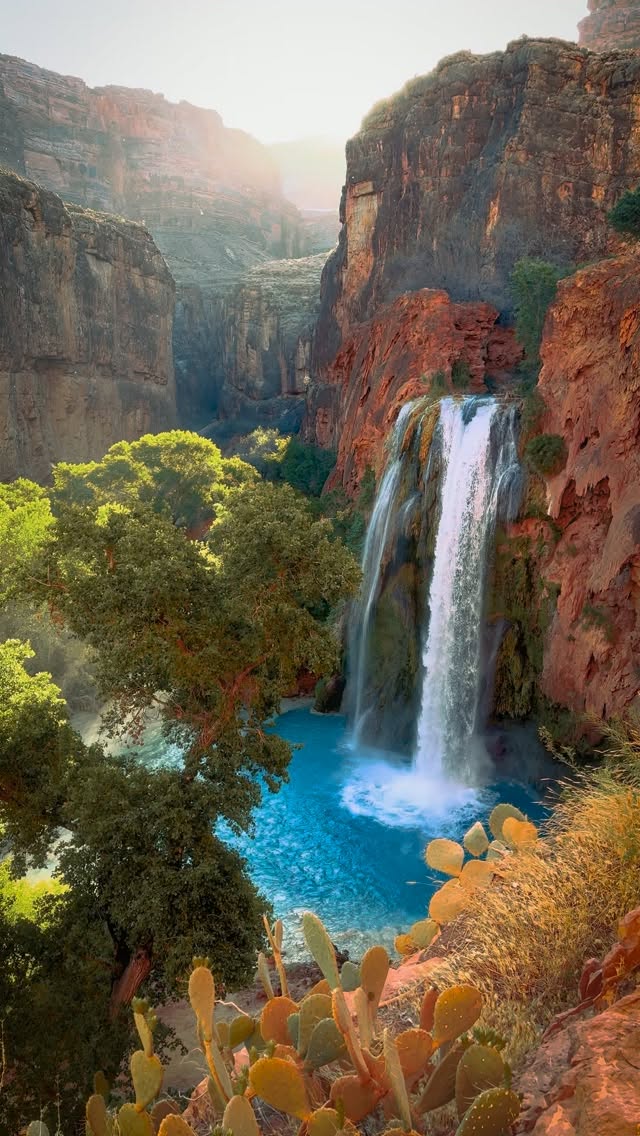 Grand Canyon And Havasu Falls Adventures