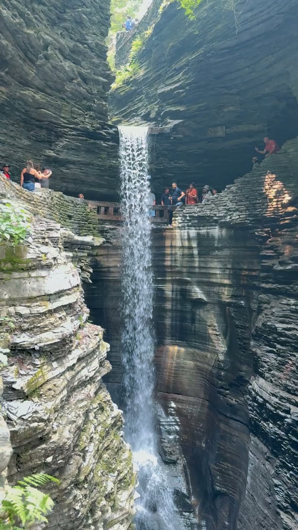 New York's Waterfalls: Niagara Falls and Watkins Glen