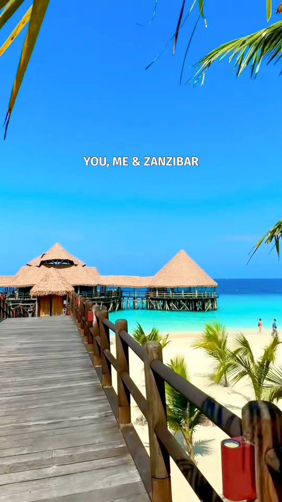 Zanzibar's Beaches, Stone Town, and Forest Adventures