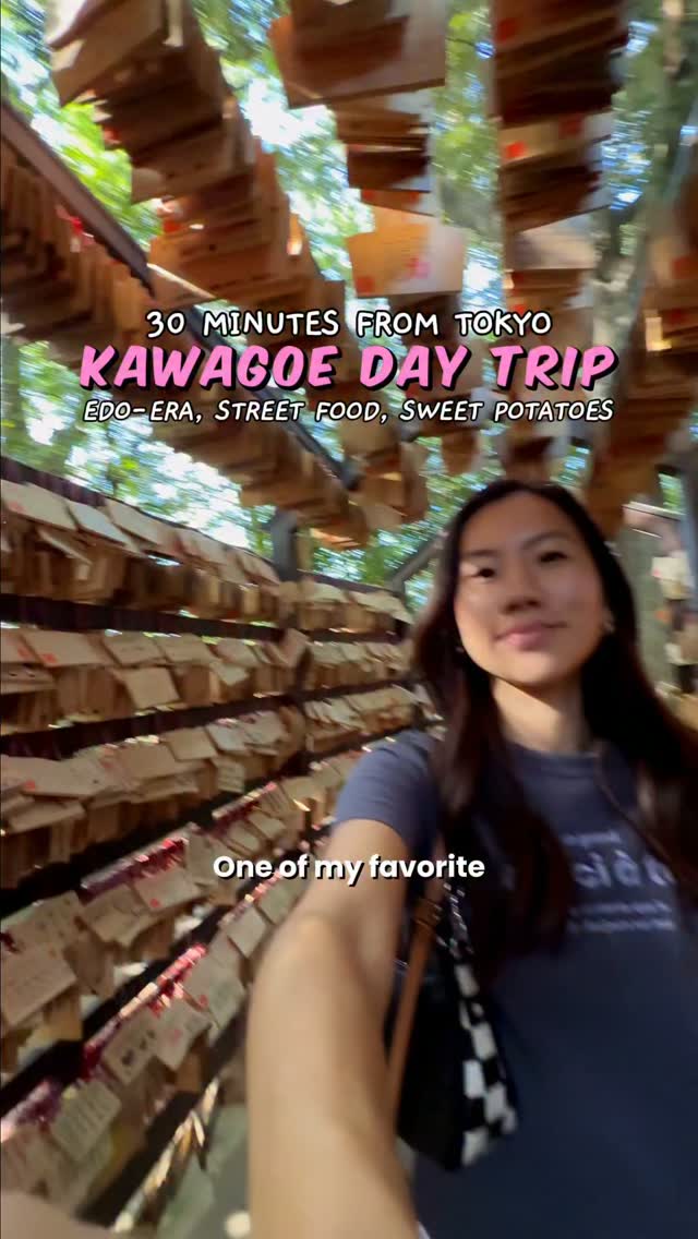 Day Trip to "Little Edo" Kawagoe From Tokyo