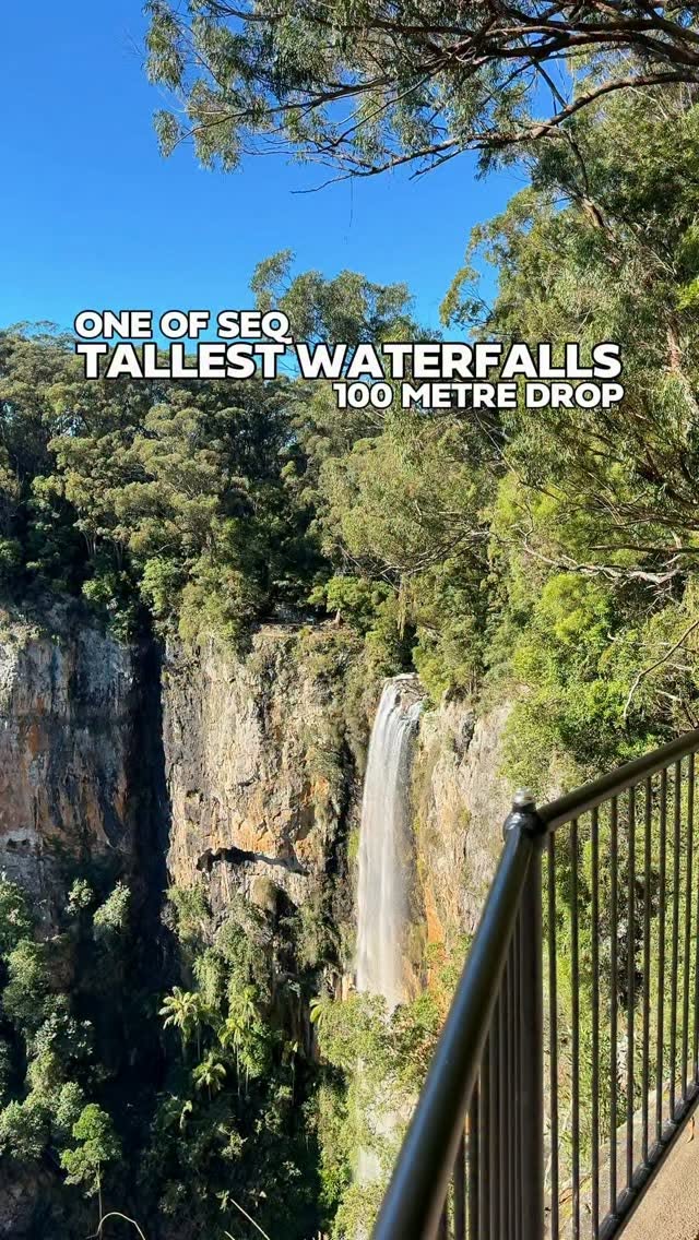Gondwana Rainforest Waterfalls And Rainforest Walks