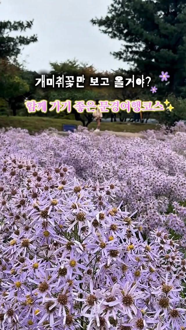 Mungyeong's Beautiful Scenery and Festival Destinations