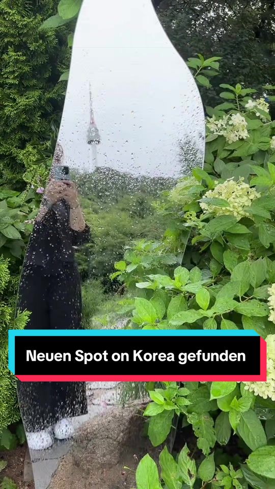 Mirrored Garden Near N Seoul Tower