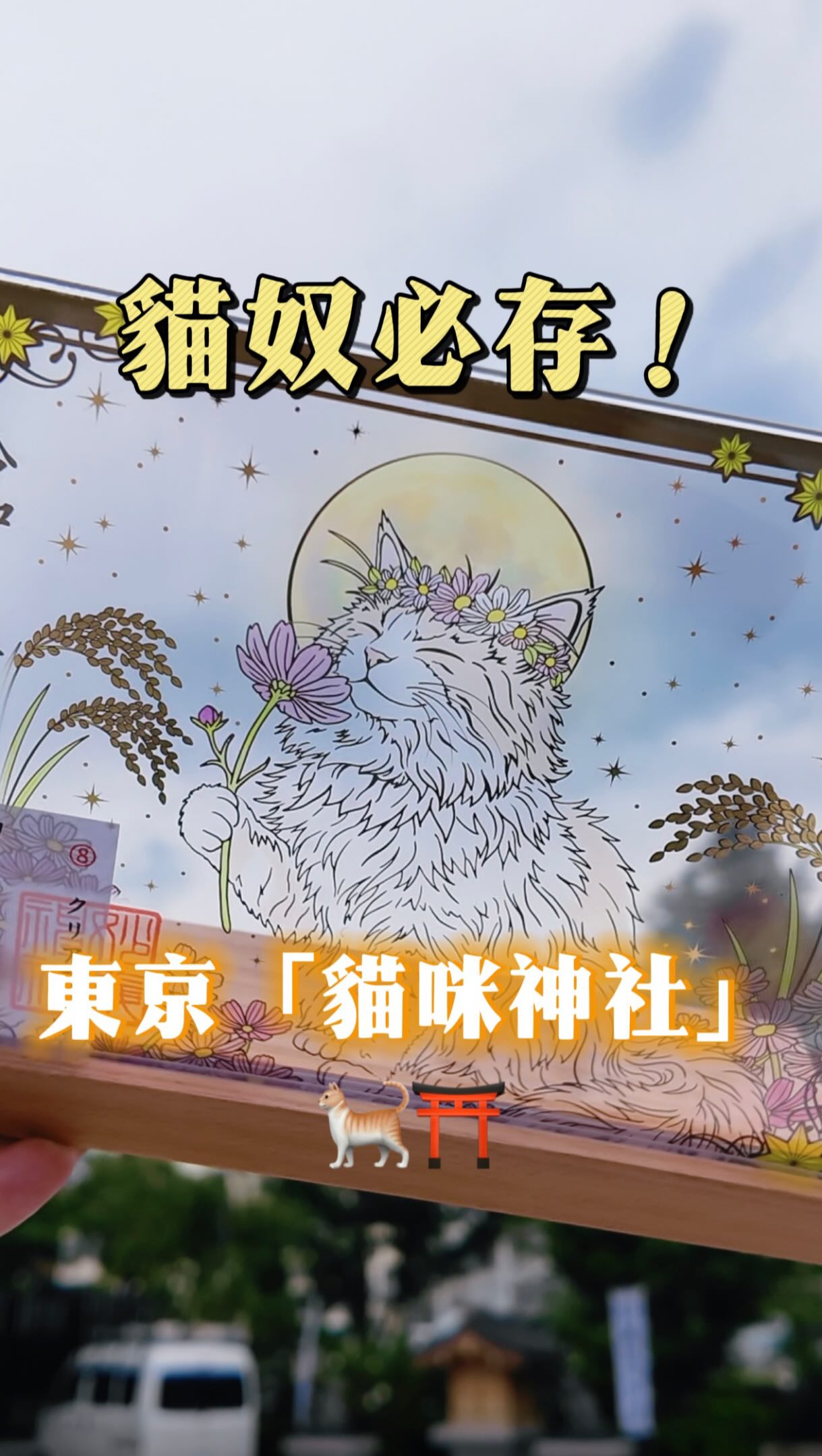 Cat Shrine Offers Good Fortune and Destructive Fun