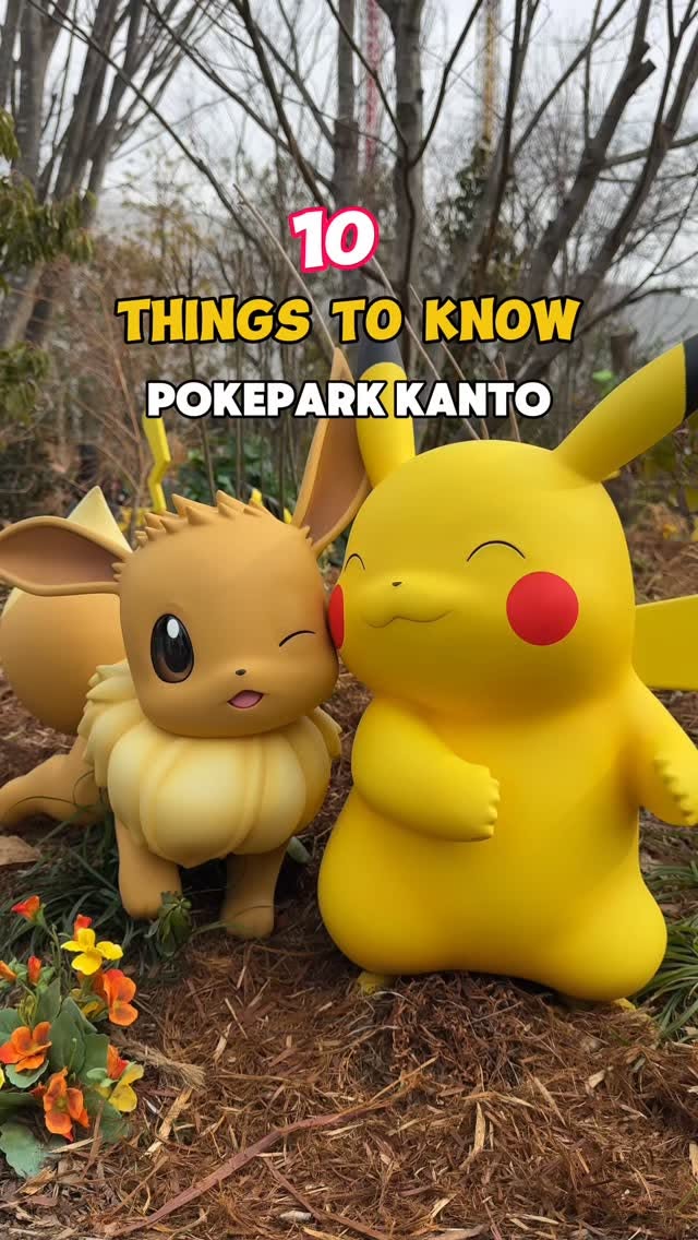 Pokemon Theme Parks and Shops in Tokyo