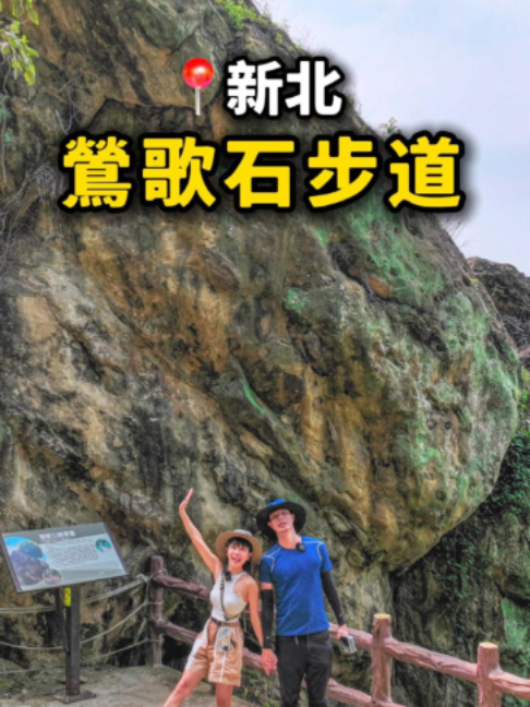 New Taipei City: Art, Nature, and Culinary Delights
