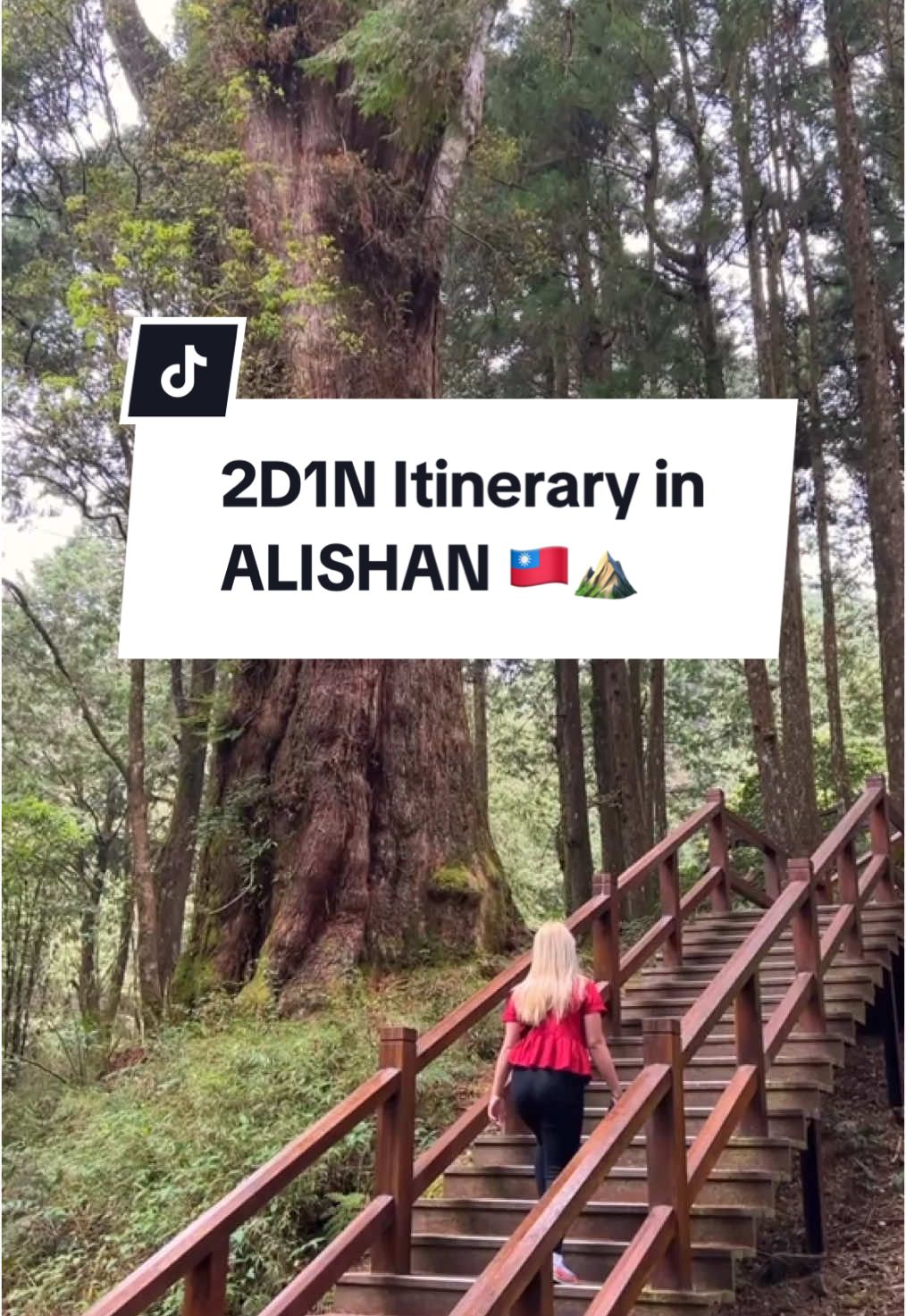 Alishan and Surrounding Area's Natural Wonders