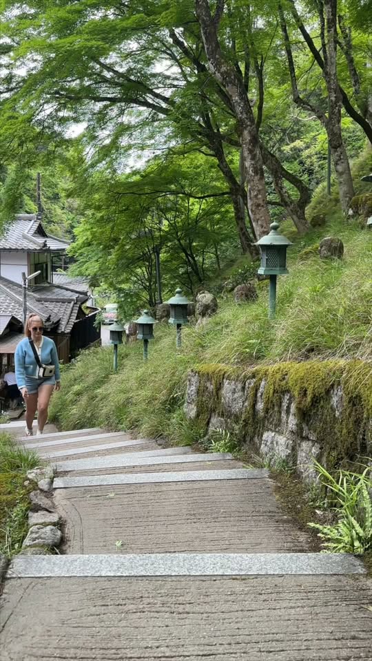 Kyoto's Arashiyama And Otagi Nenbutsuji Attractions