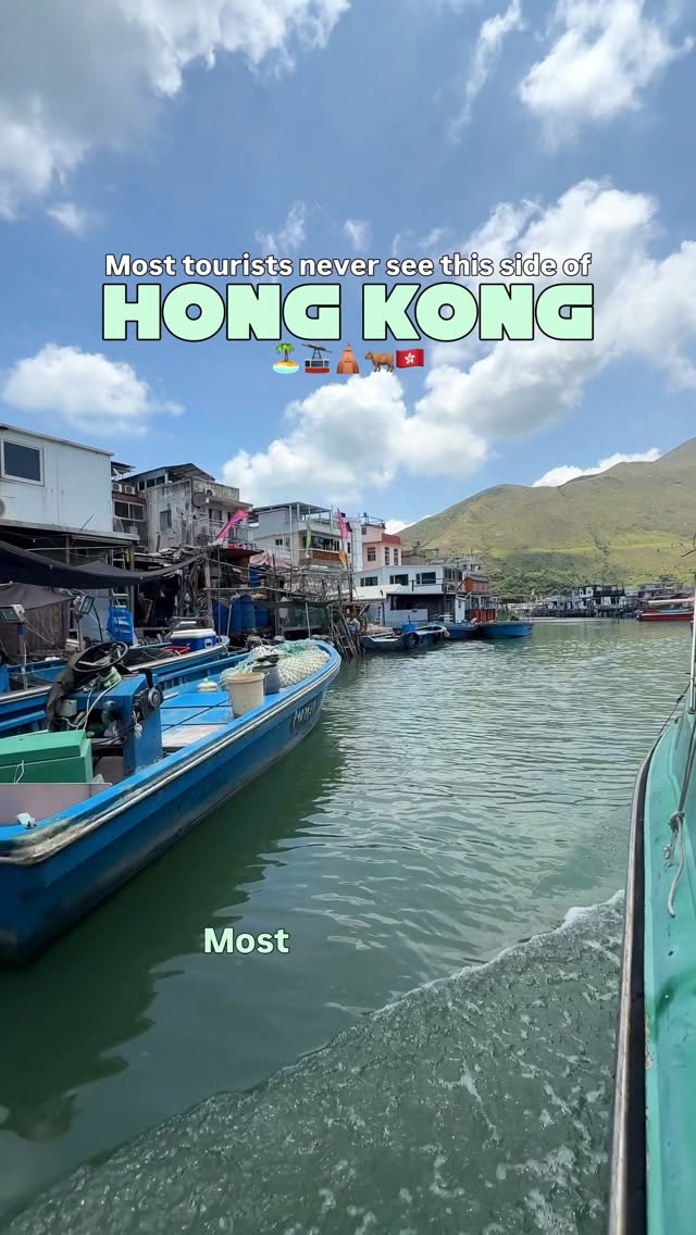 Lantau Island's Buddha, Monastery, and Tai O