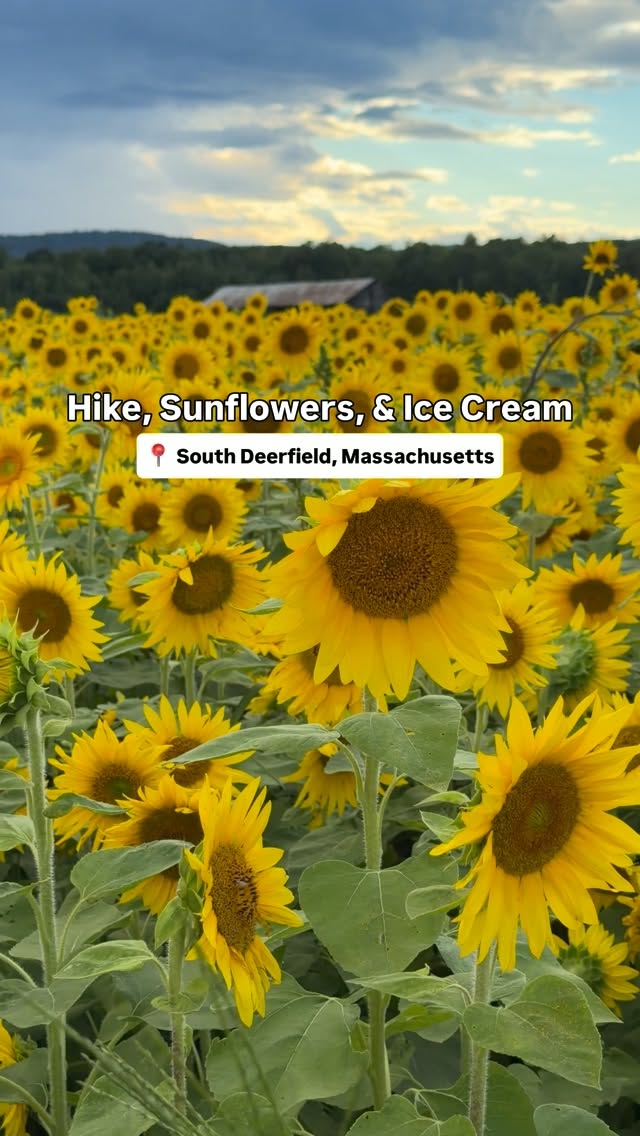 2 Dessert spots in Massachusetts
