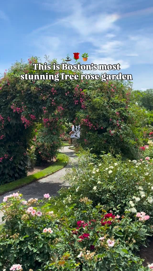 Boston's James P. Kelleher Rose Garden
