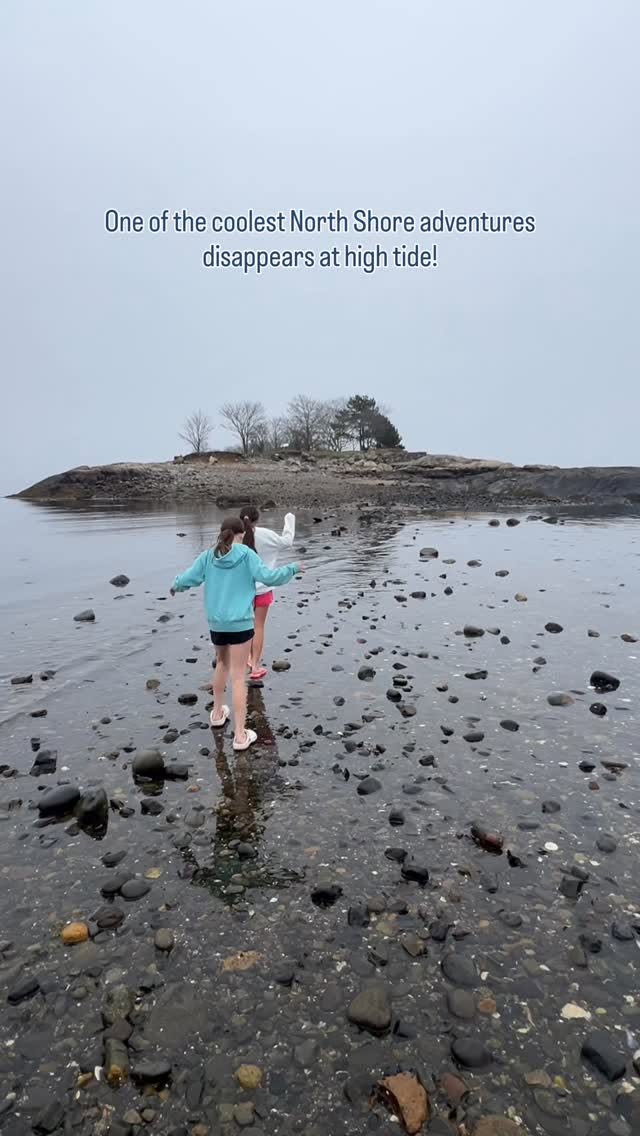 Island and Fort Adventures Accessible Via Public Transit