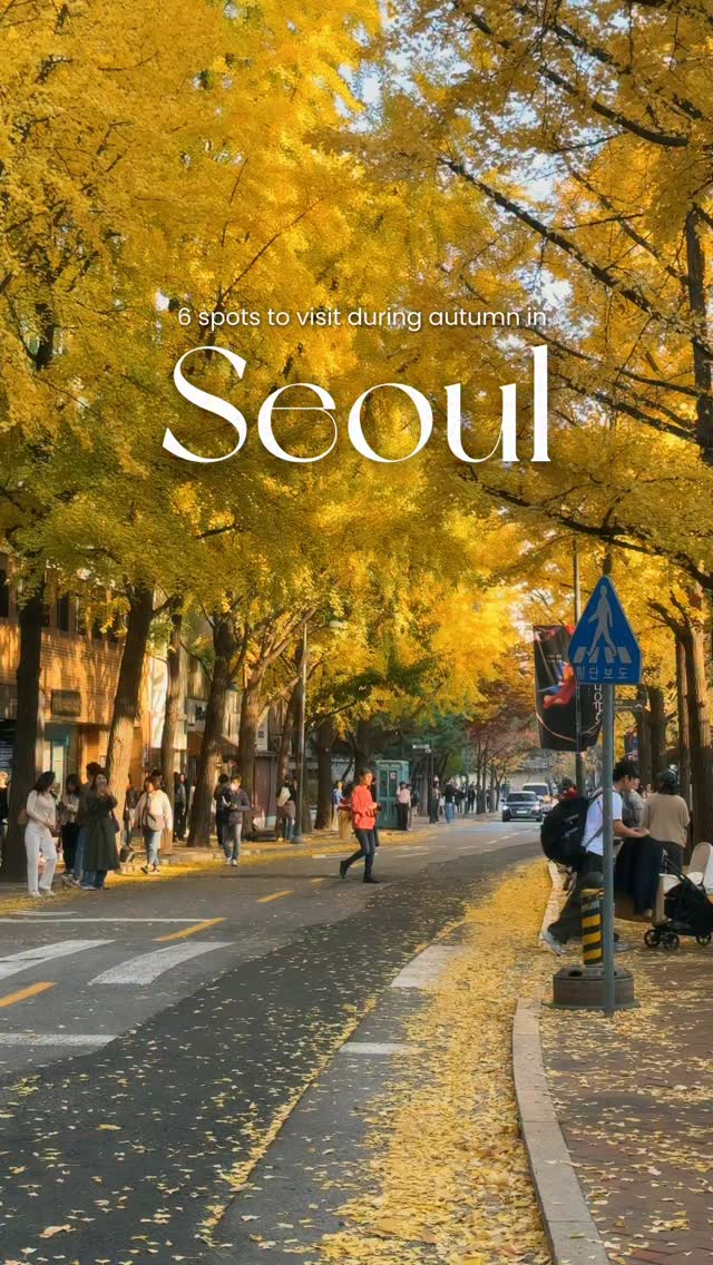 Seoul's Autumn Beauty: Palaces, Villages, and Scenic Streets