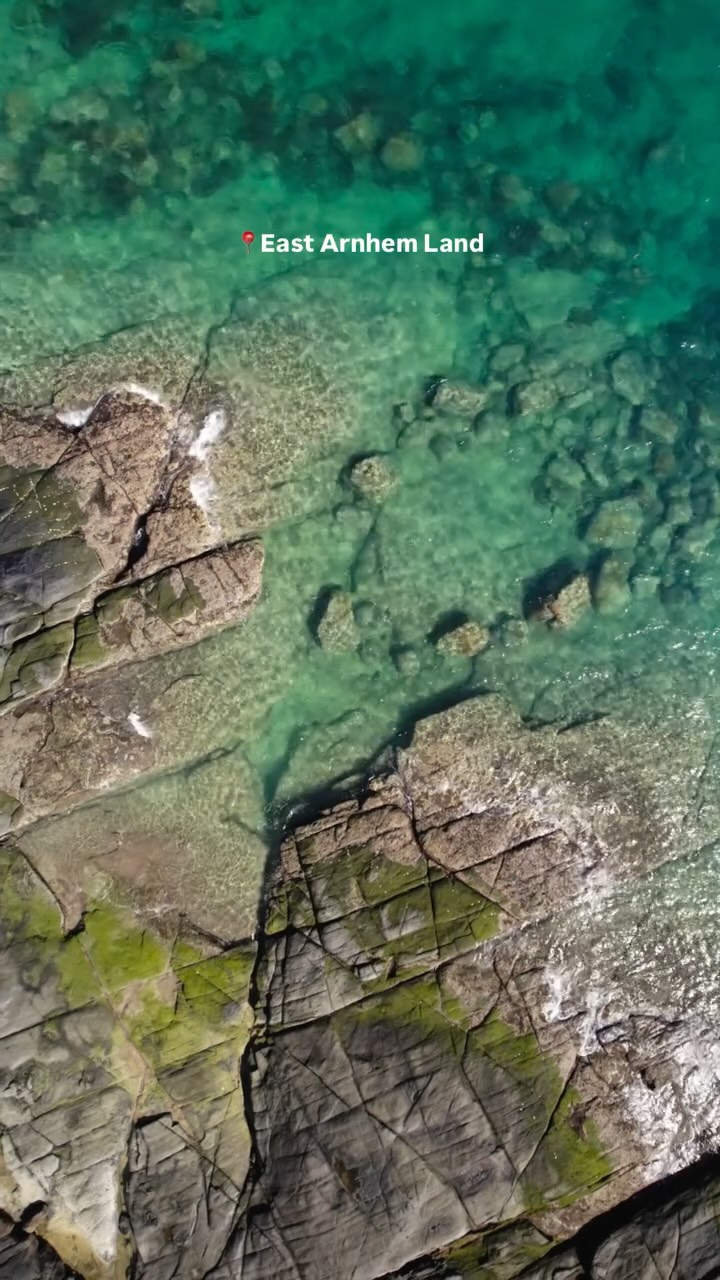 Northern Territory's Natural Wonders And Wildlife