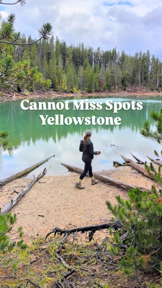 Yellowstone's Geothermal Wonders and Scenic Views