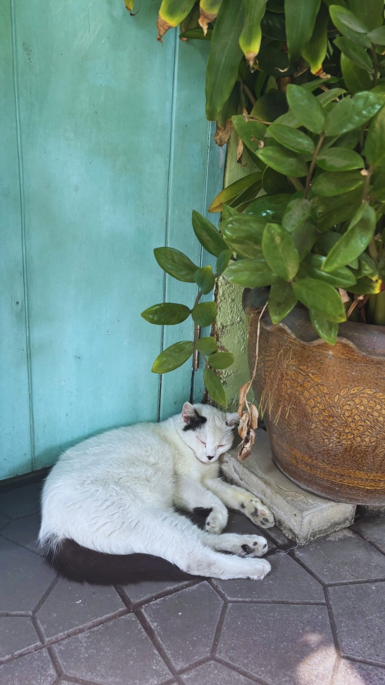 The Family: A Taste of Home in Bangkok
